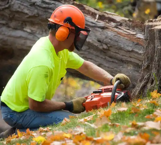 tree services Lake Arrowhead